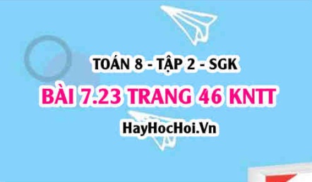 Bài 7.23 trang 46 Toán 8 Tập 2 Kết nối tri thức
